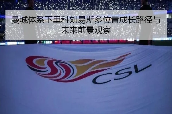 man-cheng-ti-xi-xia-li-ke-liu-yi-si-duo-wei-zhi-cheng-zhang-lu-jing-yu-wei-lai-qian-jing-guan-cha-3-102.jpg