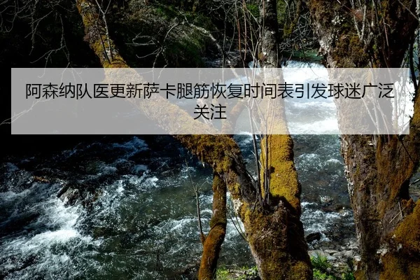 阿森纳队医更新萨卡腿筋恢复时间表引发球迷广泛关注