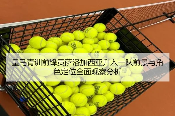 皇马青训前锋贡萨洛加西亚升入一队前景与角色定位全面观察分析 - kaiyun