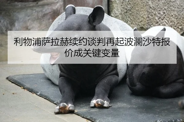 利物浦萨拉赫续约谈判再起波澜沙特报价成关键变量 - kaiyun