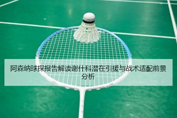 阿森纳球探报告解读谢什科潜在引援与战术适配前景分析 | kaiyun