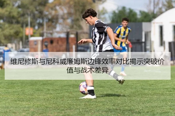 维尼修斯与尼科威廉姆斯边锋效率对比揭示突破价值与战术差异